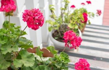 Prigkipessa Studios - Foto 39