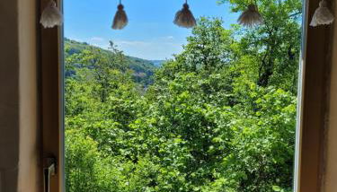Ferienwohnung im Haus Waldblick - Foto 5