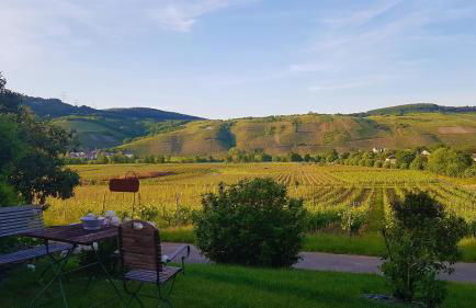 Ferienwohnung "Auf Plandert" - Foto 17