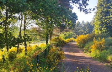 gîte résidence de la fontaine à Compreignac - Foto 23