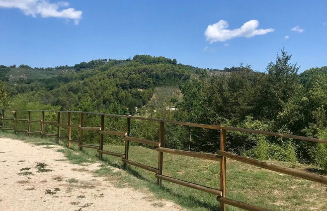 Alloggio Rurale - Foto 60