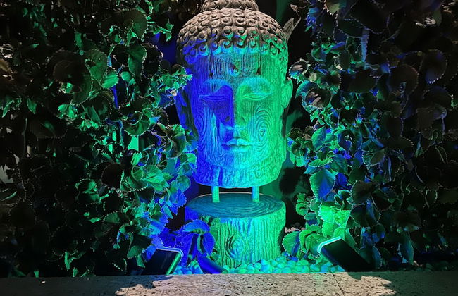 Xanadu Apartments at Blue Bay Golf & Beach Resort - Foto 26