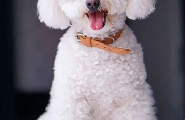 The Reserve at Muckross - Foto 3