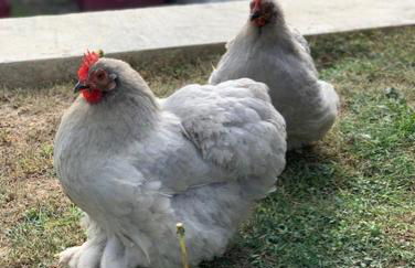 CASABINA Appartement entre Disney et paris - Foto 86