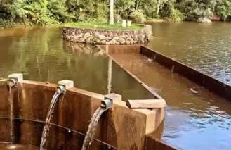 Chalé Banho de Floresta Atibaia Clube de Montanha - Foto 48