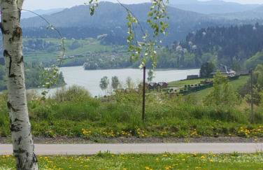 "Widokowe Wzgórze"domki z widokiem na jezioro w Polańczyku z klimatyzacją - Photo 39