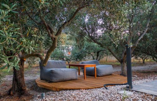 Armandiola - Foto 11