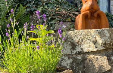 West mouse view - Foto 31