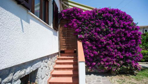 Il Caubbio - Foto 2, Garden, Garden view