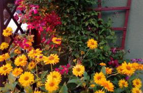 Dom Borowski - Foto 22