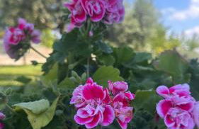 Appartamento Belvedere con Piscina - Soggiorni Le Grotte - Foto 18