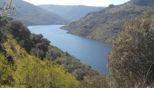 Casa do Souto - Foto 2