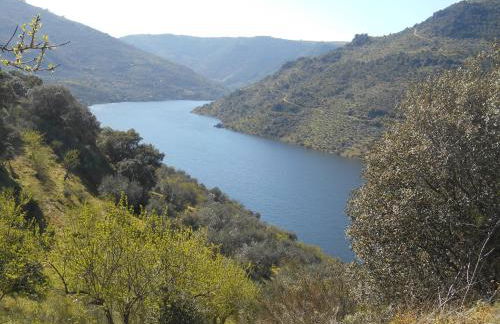 Casa do Souto - Foto 2