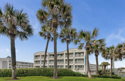 CDM 204 - Turtle-y Awesome - Foto 28