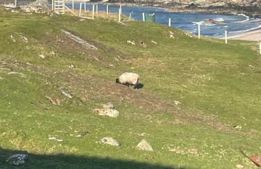 Sea View Cabin - Foto 26