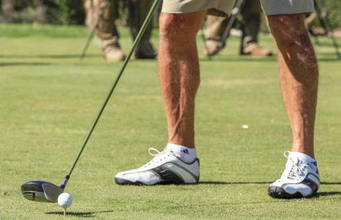 Il Casale Del Vino - Foto 25