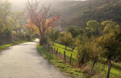 tiny house Pfalz Wellness und Wanderurlaub - Foto 34