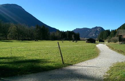 Haus Rosi Trenkle - Foto 46