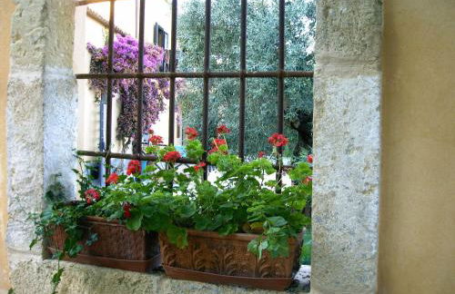 Azienda Agrituristica Biologica Il Querceto - Foto 11