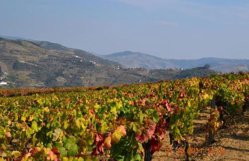 Quinta dos Espinheiros - Photo 23