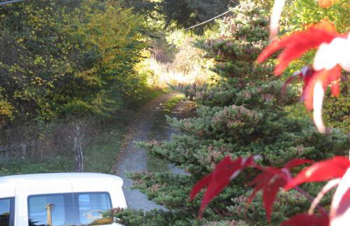 Ferienwohnung Krämershagen - Foto 34