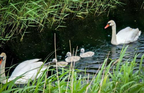 Whitstable 3 Bedroom Home - Foto 6