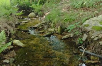 Górska Polana, Stronie Śląskie - Młynowiec - Foto 21