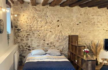 Studio Manhattan WIFI Plein de charme - Photo 5