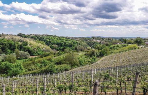 One-Bedroom Holiday Home In Hrnjanec - Foto 20