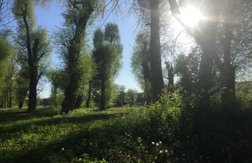 Ferienhaus Andadoana - Foto 35