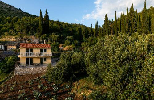 Relax Zone Apartment - Photo 10