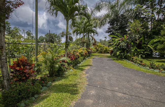 Cabañas Rio Escondido - Foto 67