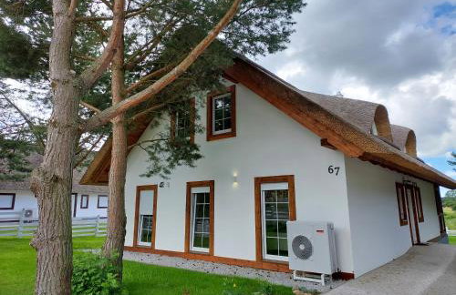 Greyówka dom kryty strzechą w Gardna Park - Foto 3