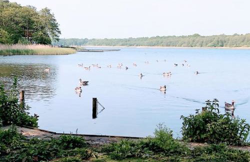 TAIL END: Bijoux Broads & Beach Base! Now with TV! - Photo 15