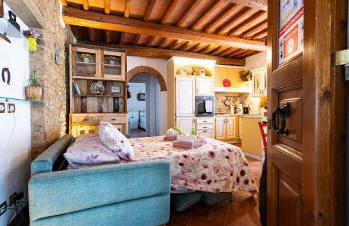 I Vigneti del Chianti - Foto 11