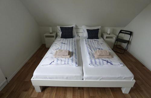 FroschKönig - Foto 29