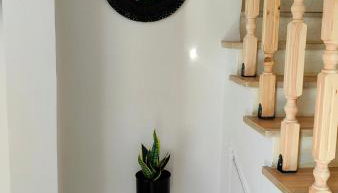 Mimosa House - Foto 5