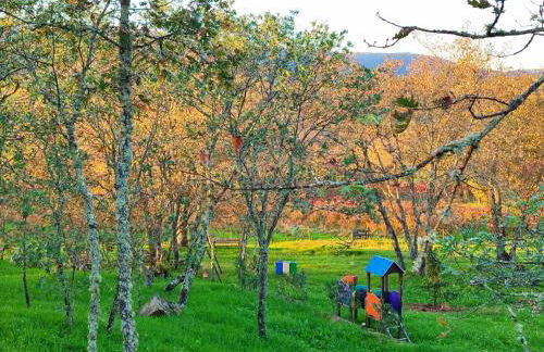 Quinta dos Carvalhais - Serra da Estrela - Foto 38