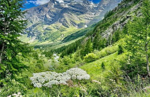 Chalet Les Cocales - Séjour et Nuitées - Appartement Pin Sylvestre - Foto 19