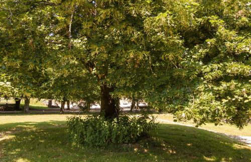 Cottage in Chaleix near Forest & Lake - Foto 11