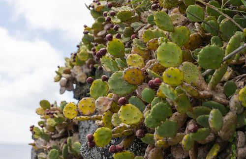 Beira Da Rocha - Photo 46