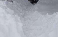 Holiday House Trnovac - Photo 45