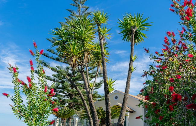 Villa Emily - Foto 2