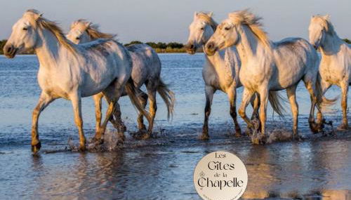 Les Gîtes de la Chapelle 4 - Photo 4
