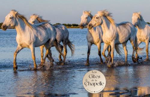 Les Gîtes de la Chapelle 4 - Photo 4