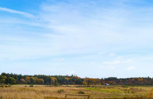 The Falcon - Uk45538 - Foto 16