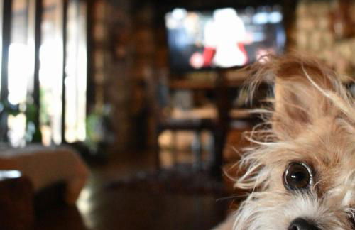 CHALET Σπιτι στο βουνο - Foto 33