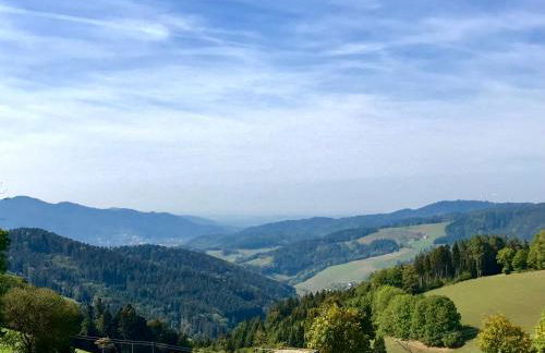 Schwarzwaldmädel - Foto 3