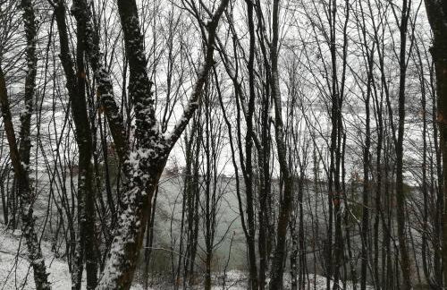 ČAROBNA ŠUMA ***(magic forest) - Foto 41