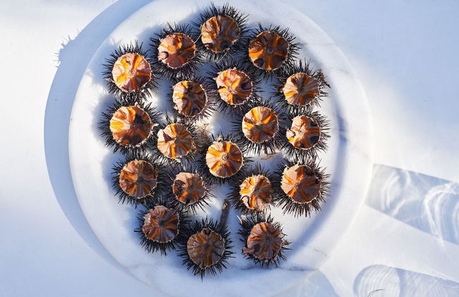 Villa Santa Katerina - Sea View - Foto 60